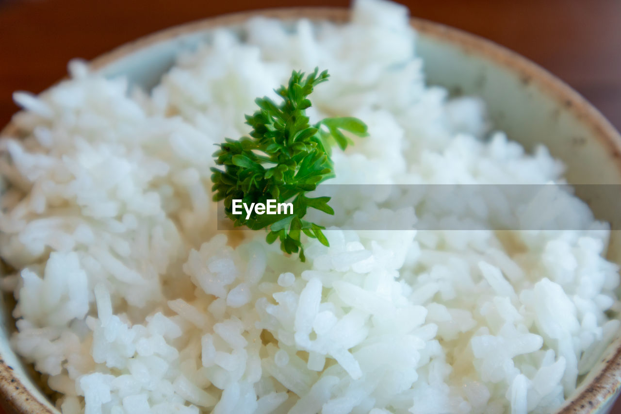 CLOSE-UP OF FOOD IN PLATE