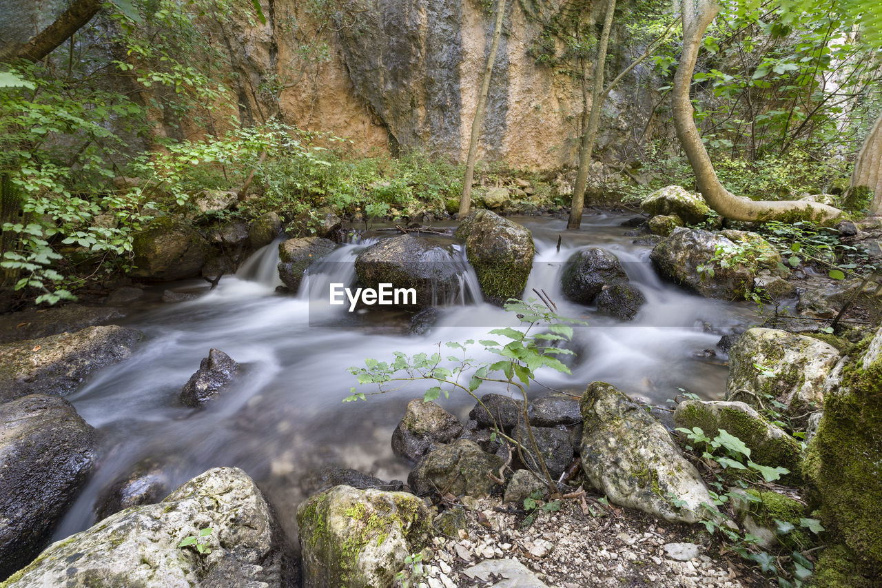 WATERFALL IN FOREST