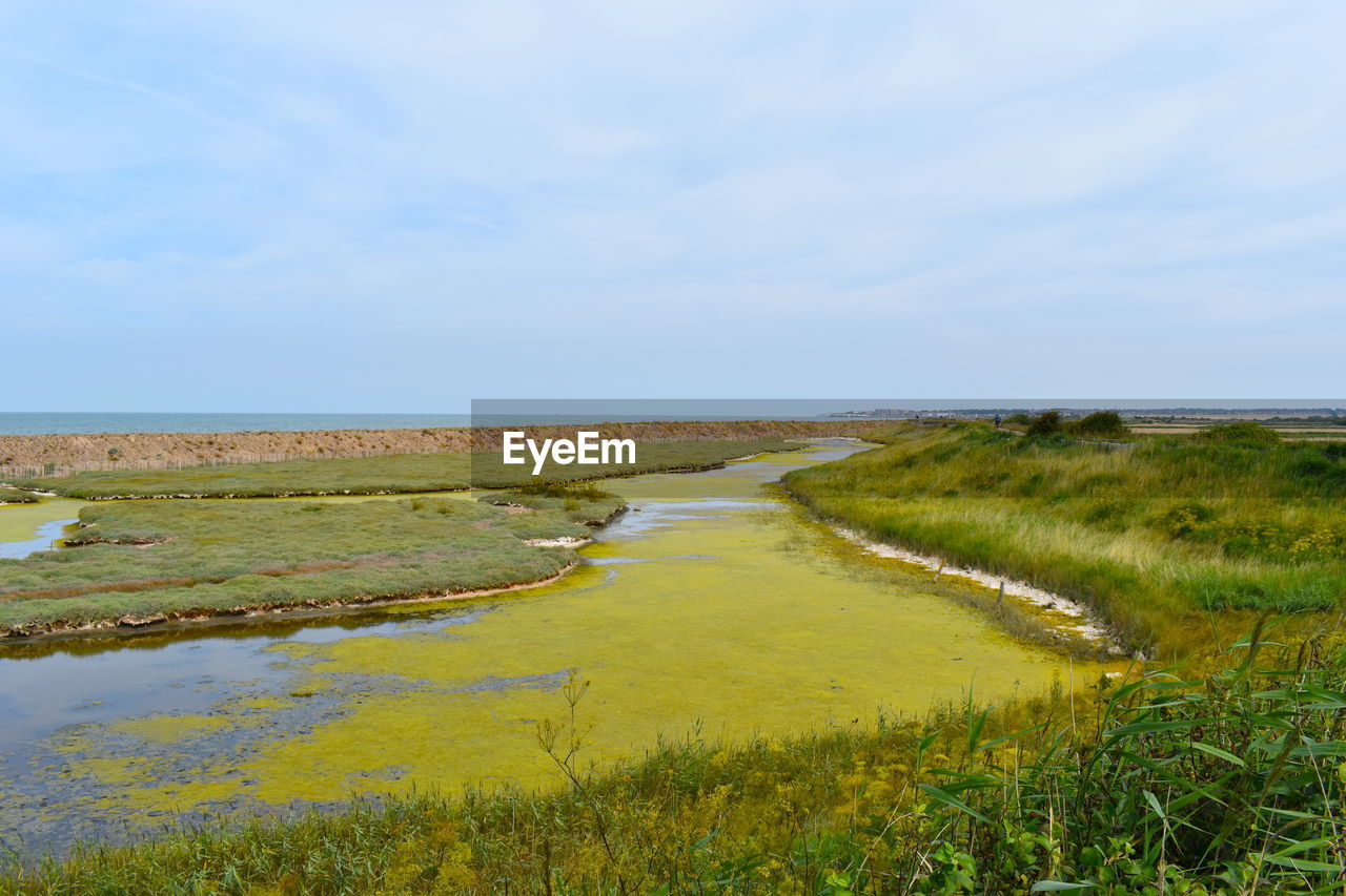 SCENIC VIEW OF WATER FLOWING THROUGH LAND