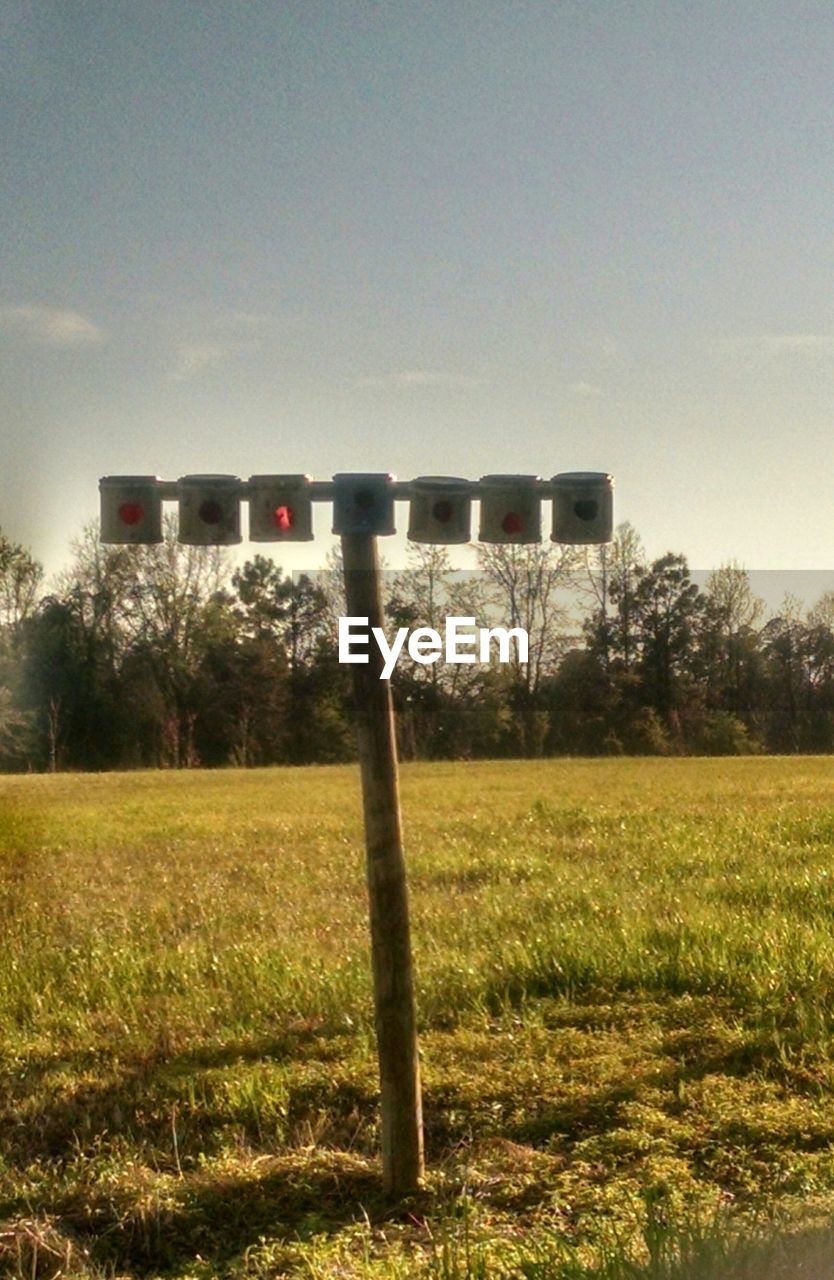 TREES ON GRASSY FIELD