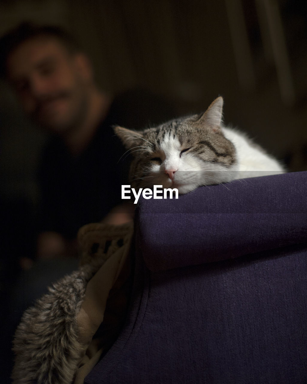 Defocused image of man looking at cat sleeping on sofa