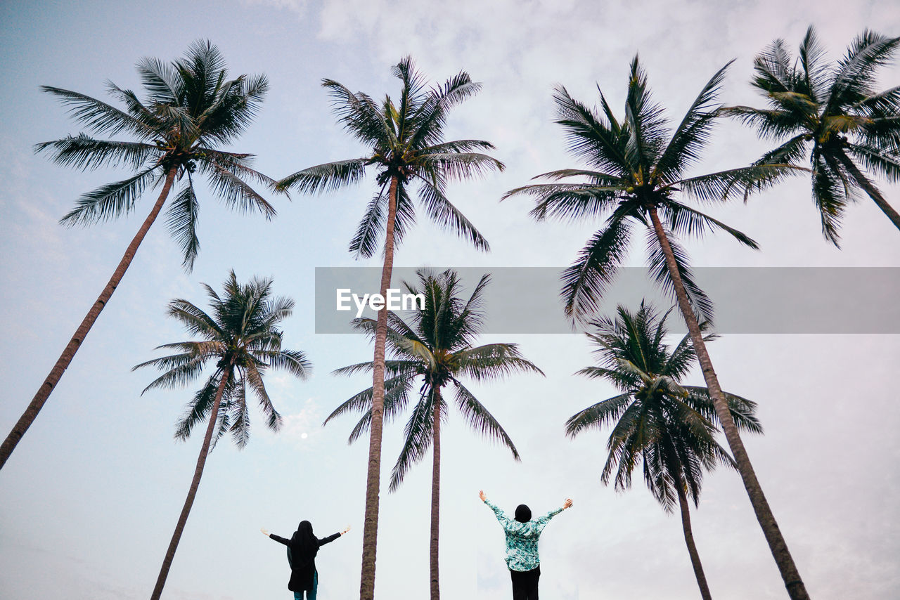 Rear view of friends with arms outstretched standing amidst palm trees against sky
