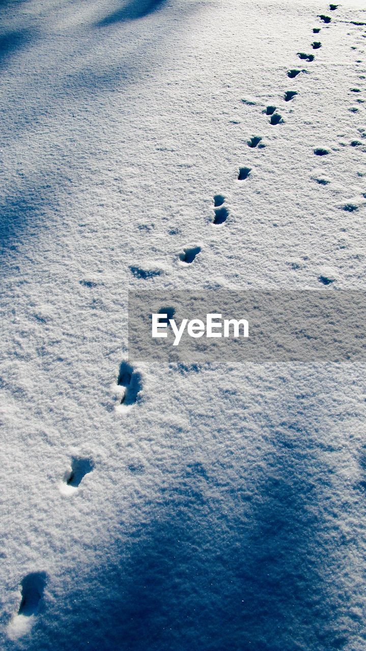 HIGH ANGLE VIEW OF FOOTPRINTS IN SNOW