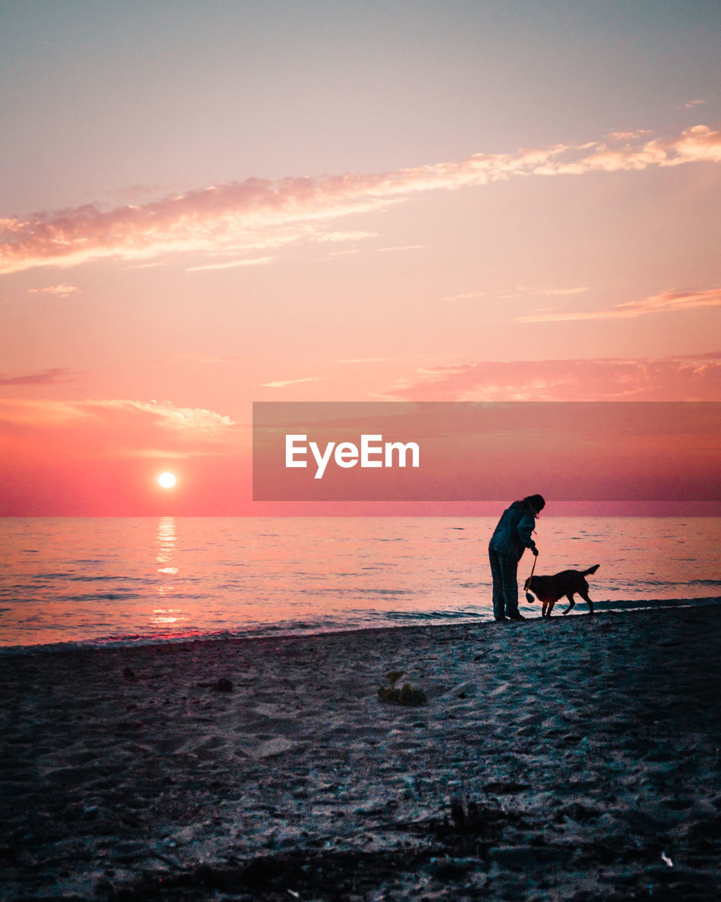 Silhouette woman and dog on beach against sky during sunset