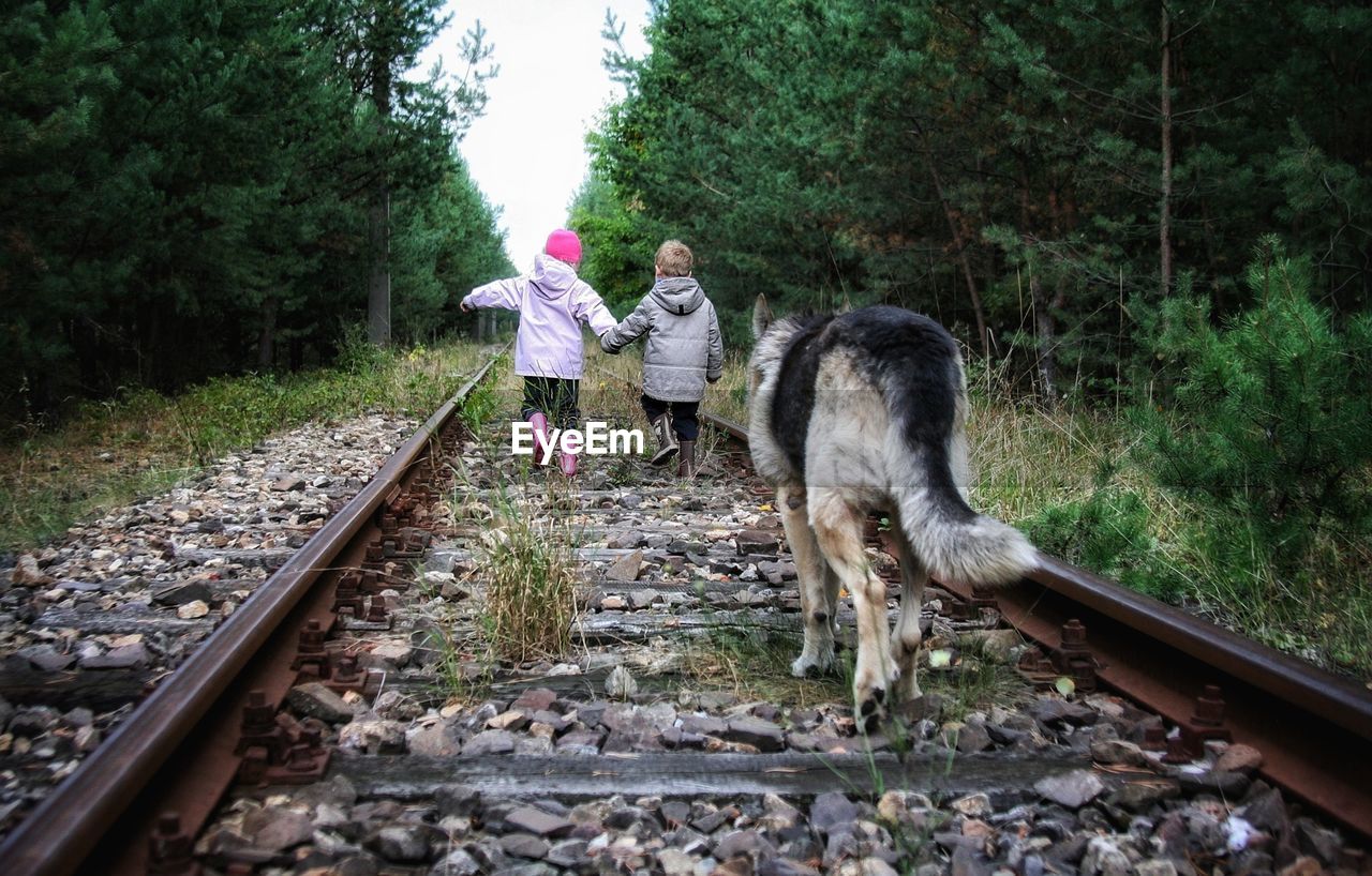 Rear view of siblings and dog walking on railroad track