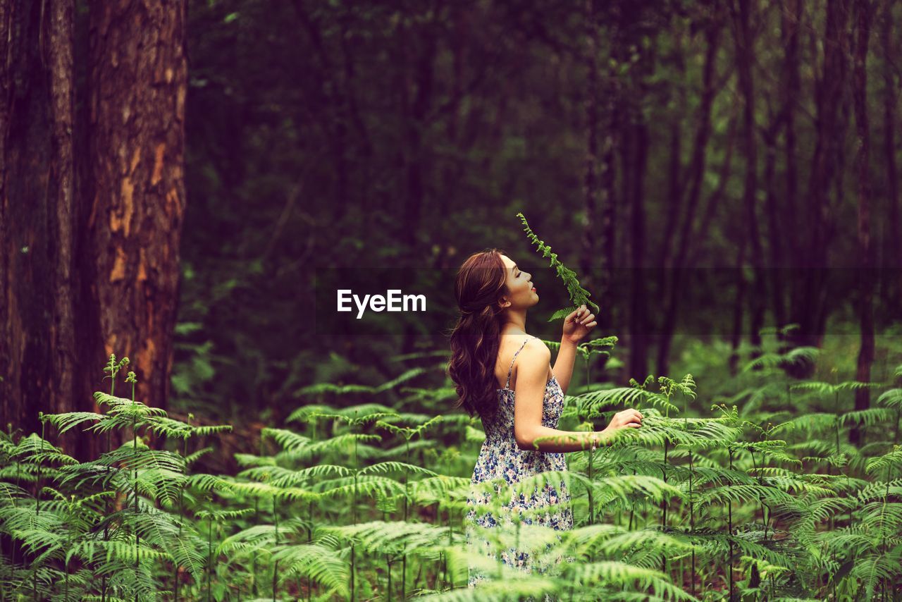 Side view of young woman holding plant while standing in forest