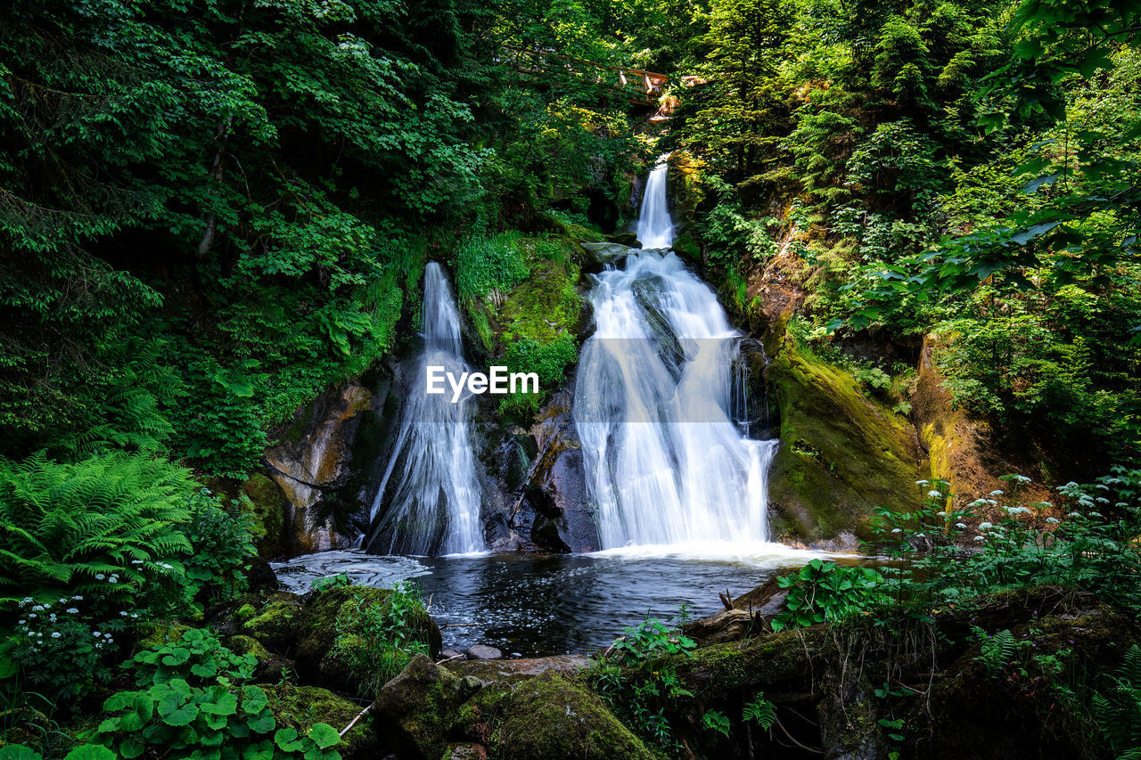 waterfall, plant, water, tree, beauty in nature, forest, rainforest, scenics - nature, nature, motion, land, body of water, natural environment, long exposure, jungle, water feature, flowing water, environment, green, rock, growth, woodland, non-urban scene, blurred motion, no people, outdoors, stream, flowing, foliage, lush foliage, day, watercourse, travel destinations, autumn, idyllic, tranquility, old-growth forest, tourism, tranquil scene, travel