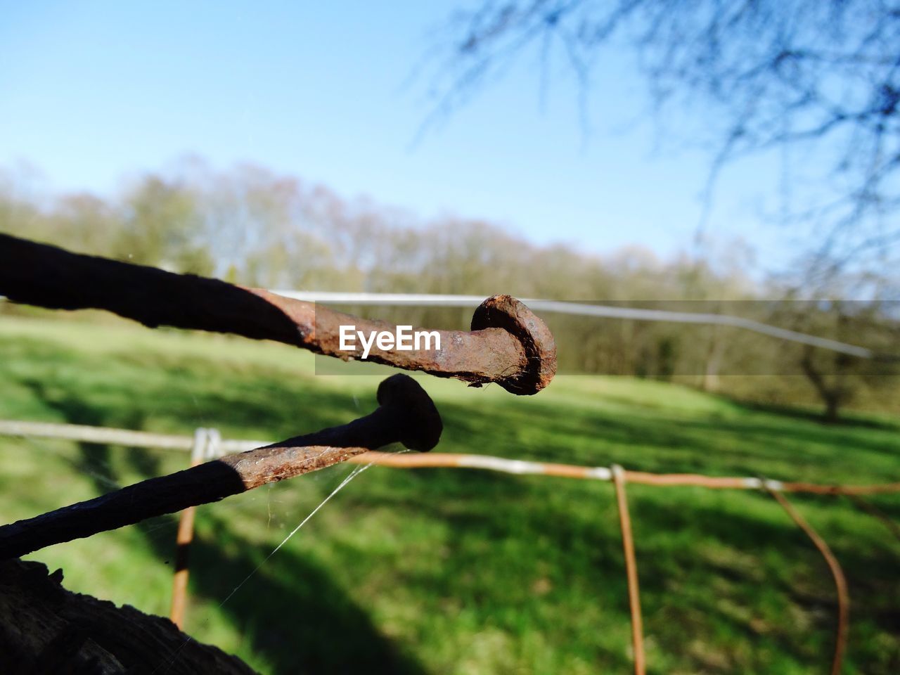 Close-up of rusty nails on fence at field