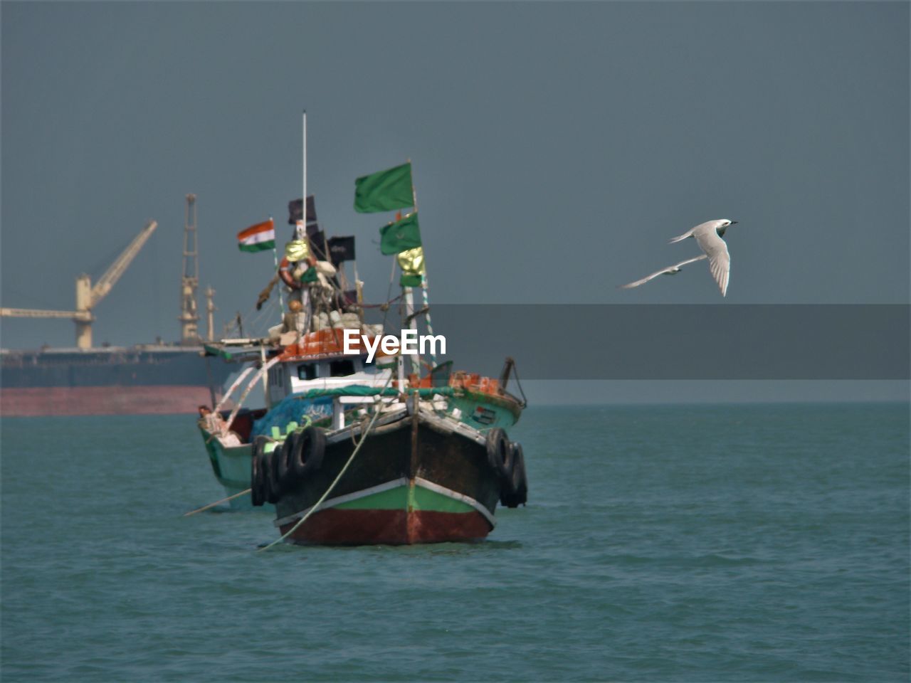 VIEW OF BIRD IN SEA