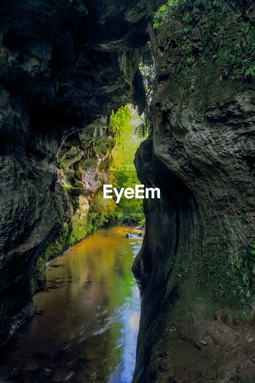 SCENIC VIEW OF WATERFALL IN FOREST