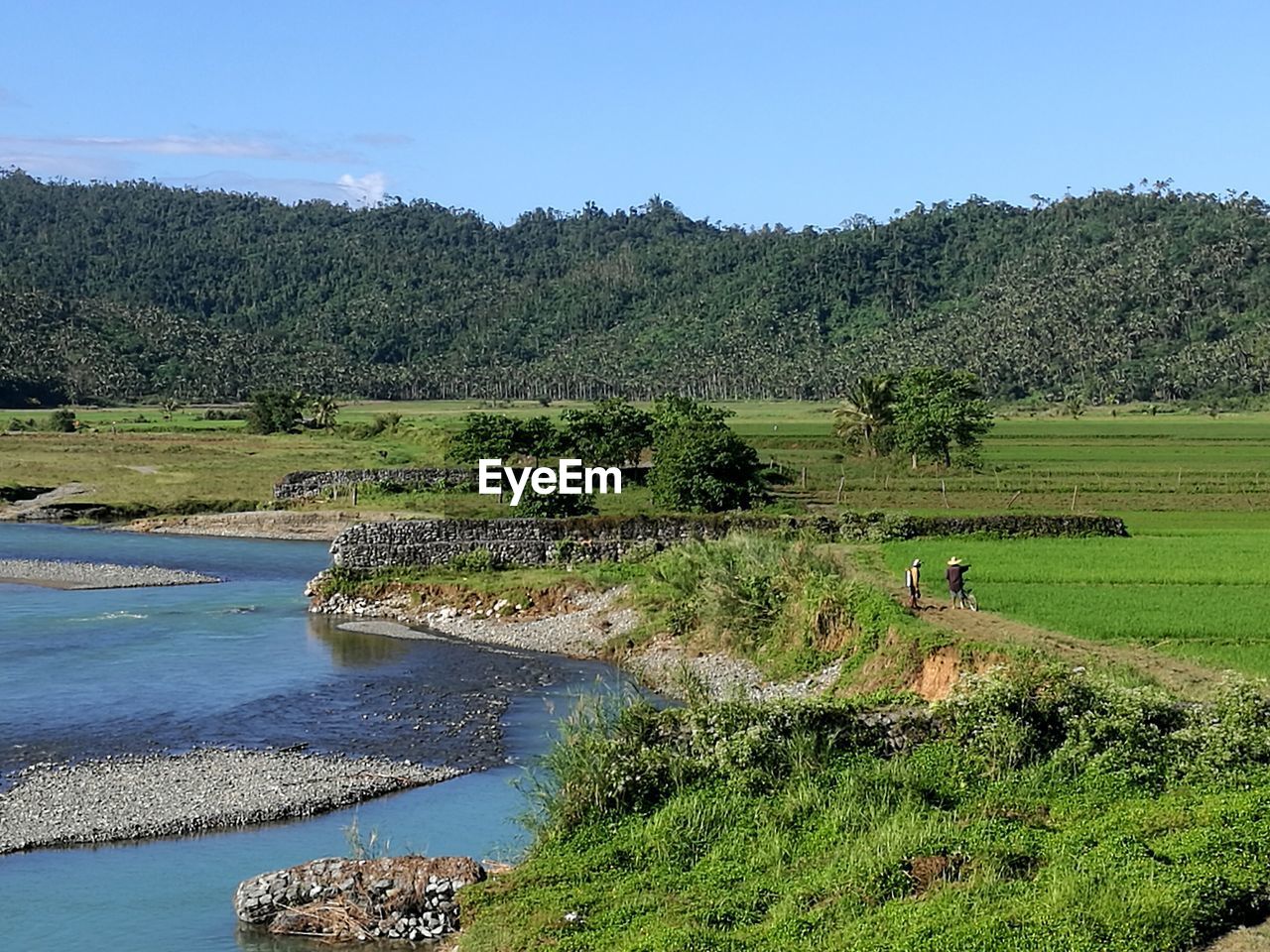 SCENIC VIEW OF LAKE WITH TREES IN BACKGROUND