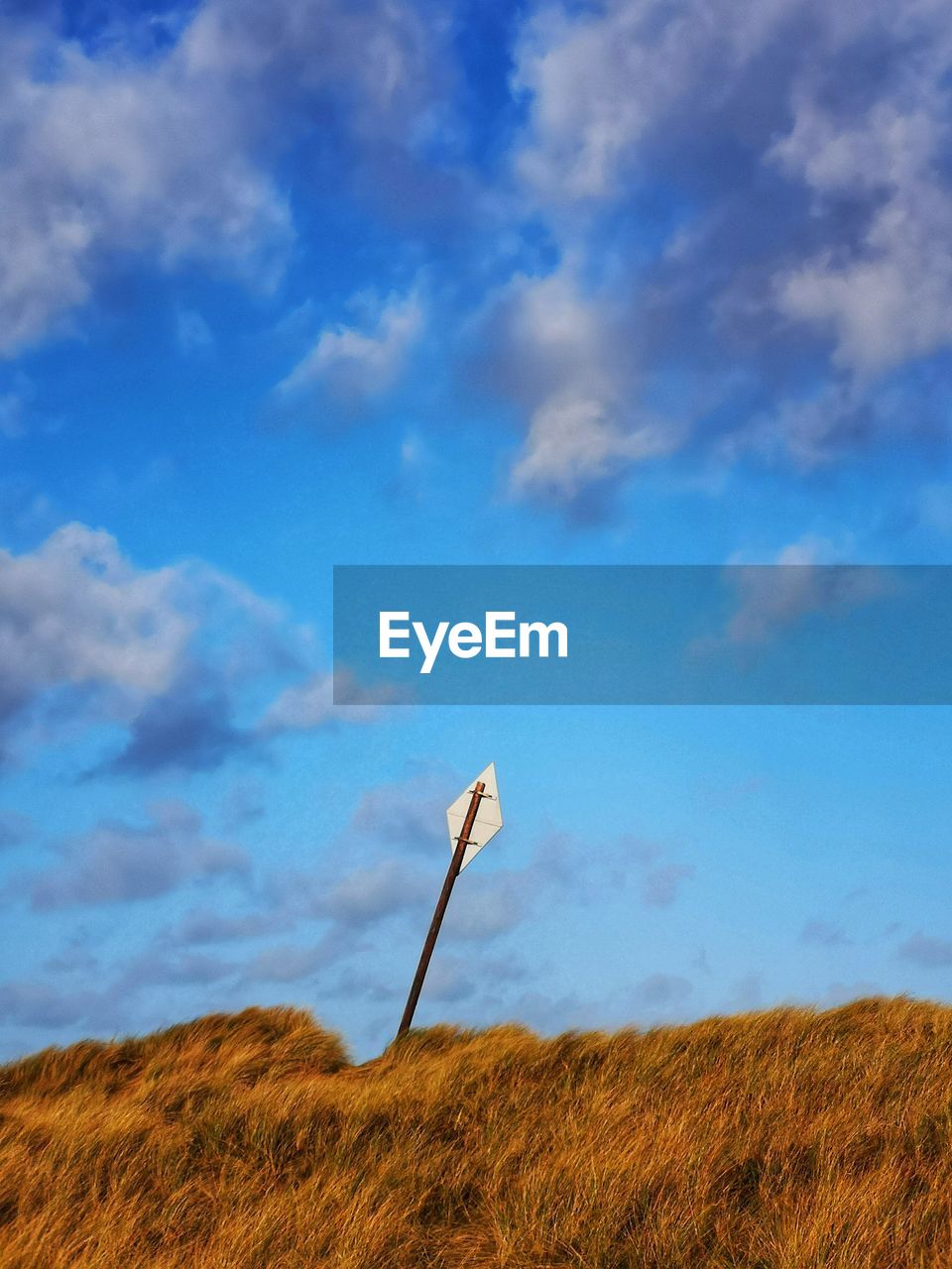 sky, cloud, horizon, prairie, wind, grassland, field, nature, landscape, environment, grass, land, plant, hill, agriculture, plain, no people, blue, day, beauty in nature, rural area, scenics - nature, tranquility, tranquil scene, rural scene, outdoors, sunlight, steppe, non-urban scene, meadow, sea, natural environment, morning