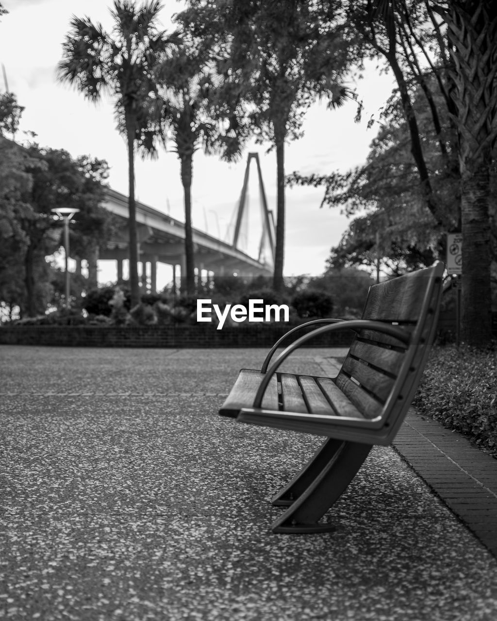 tree, plant, black and white, monochrome photography, nature, monochrome, park, architecture, seat, day, no people, park - man made space, sky, built structure, bench, empty, playground, outdoors, city, absence, black, transportation, road, street, furniture, park bench, white, growth, tree trunk