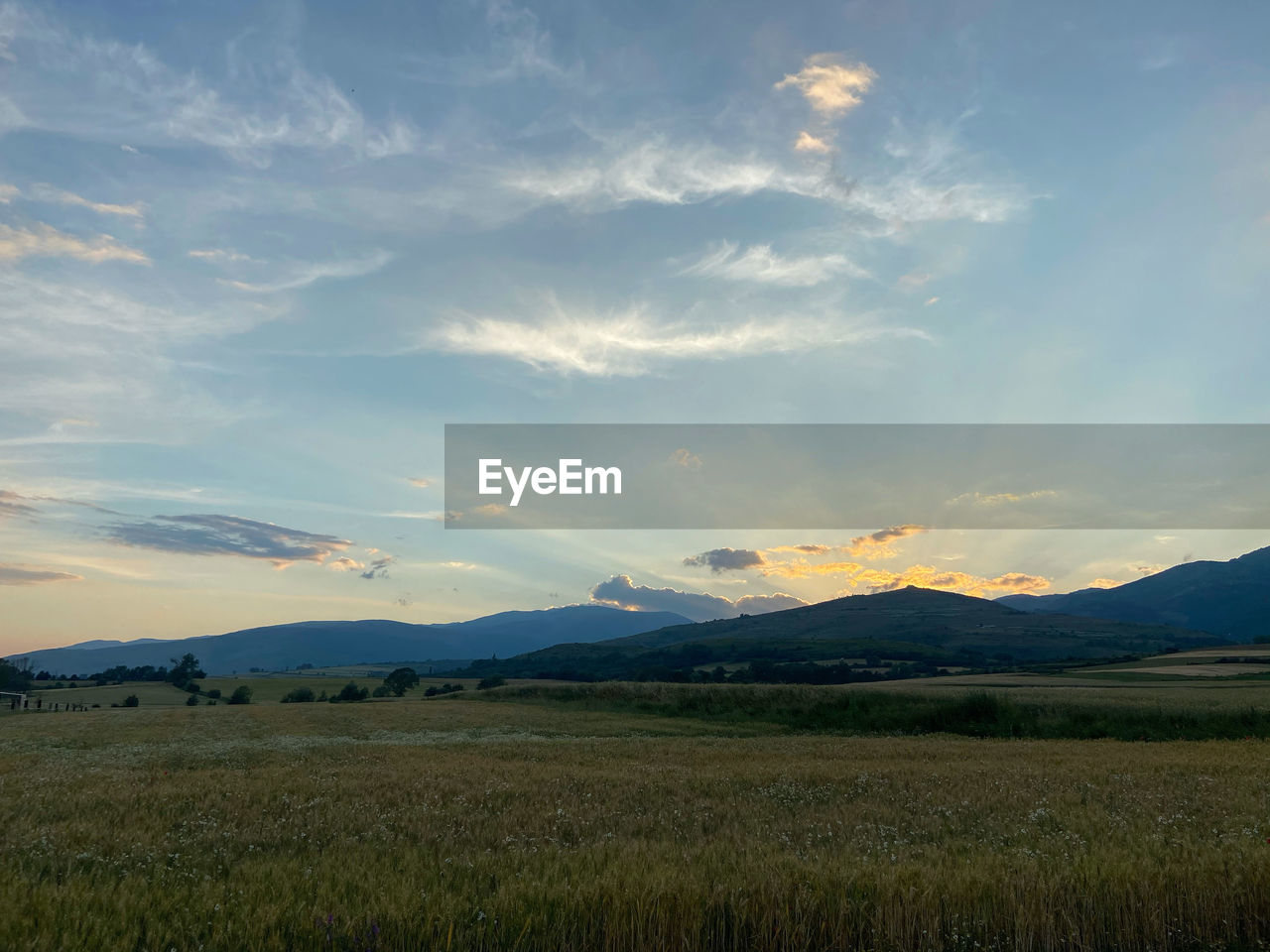 Scenic view of field against sky during sunset