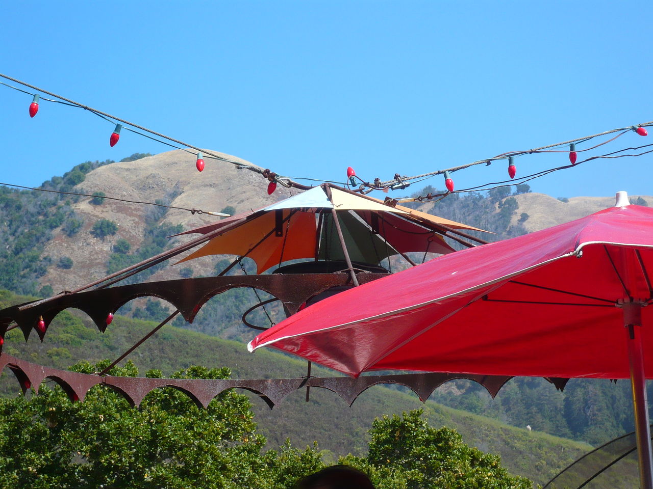 Cropped canopy against landscape and clear blue sky