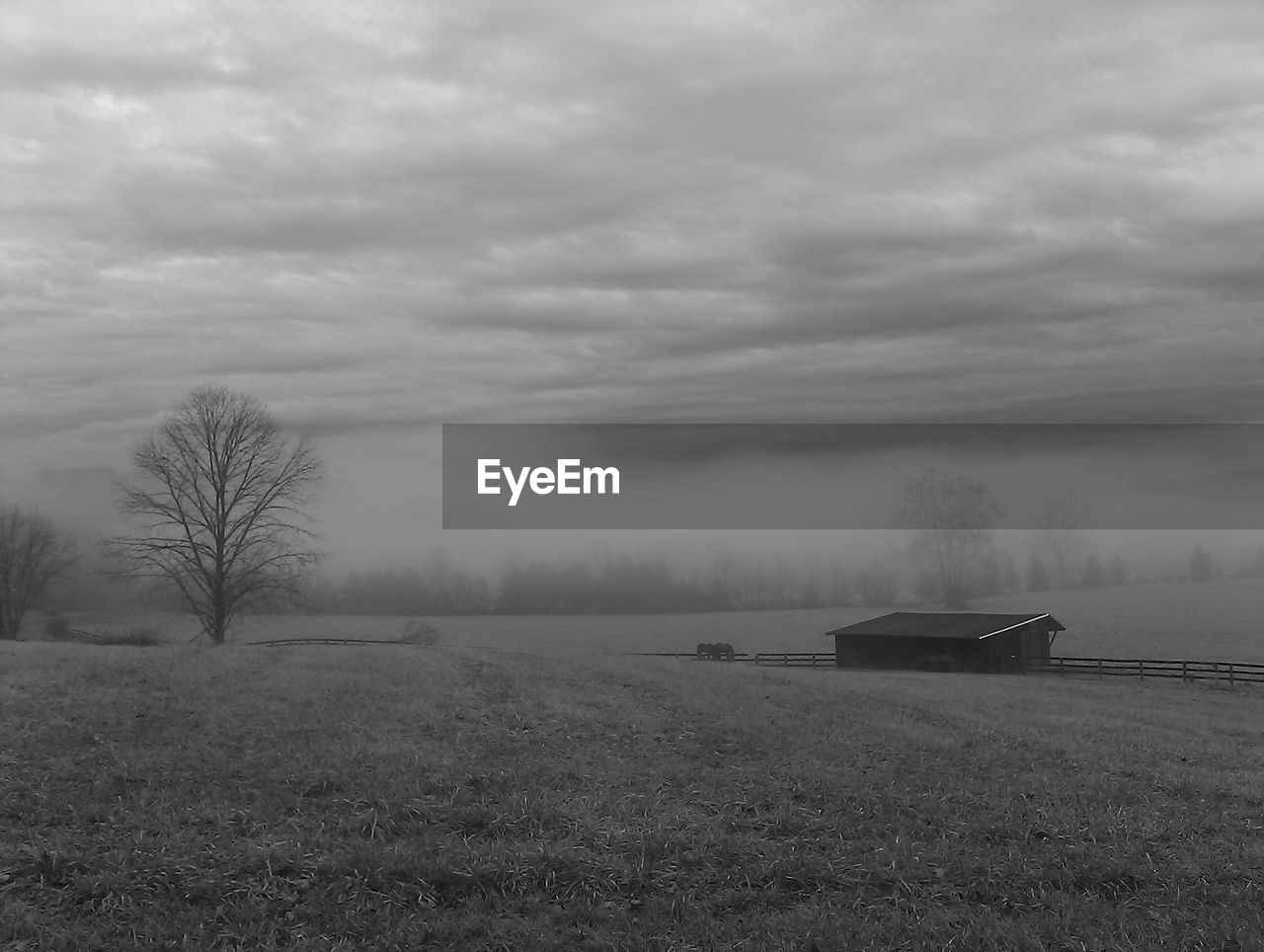 scenic view of grassy field against cloudy sky