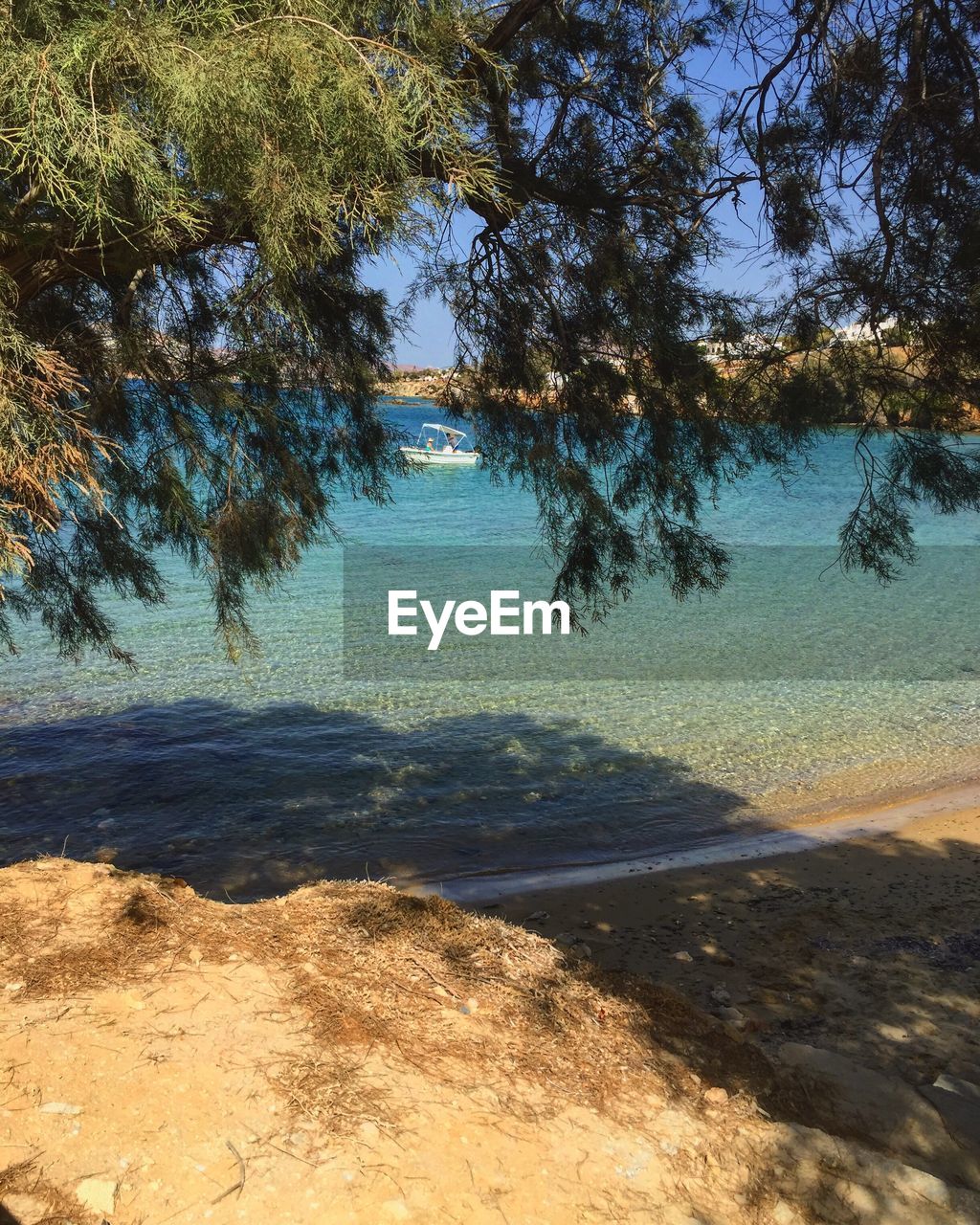 SCENIC VIEW OF BEACH