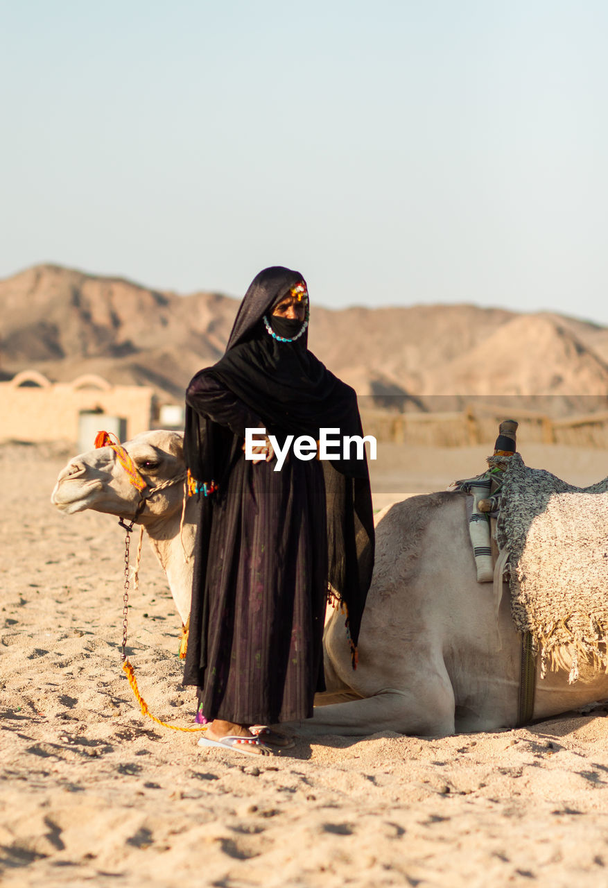 VIEW OF A HORSE STANDING ON SAND