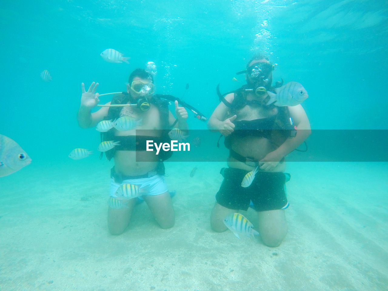 Shirtless male friends scuba diving undersea