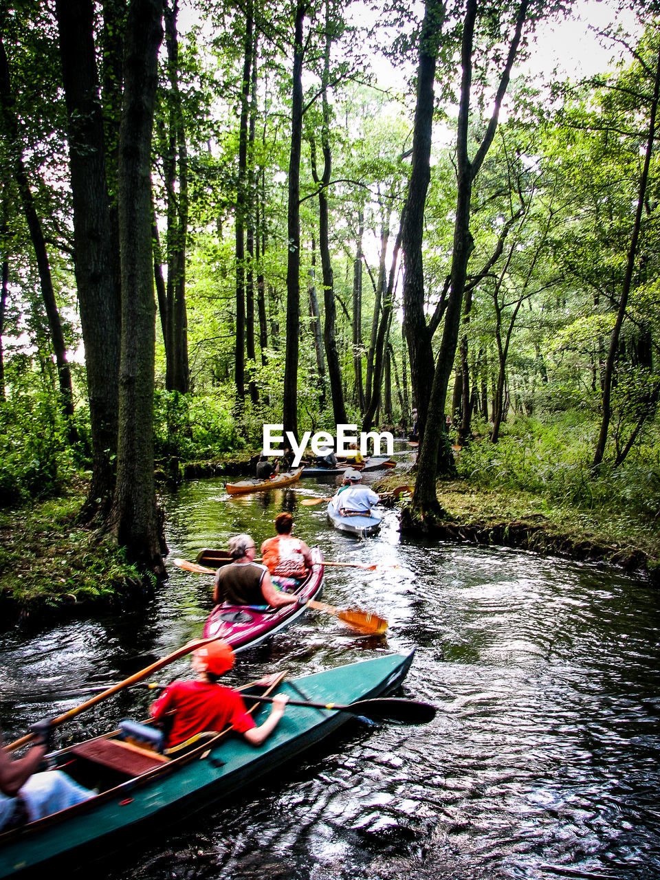 People canoeing in stream amidst forest