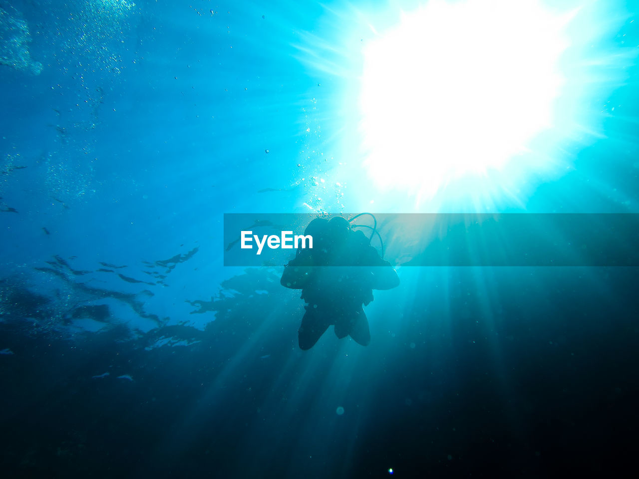 Low angle view of silhouette scuba diver swimming in blue sea