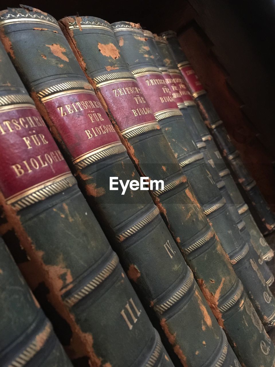 Close-up of old books