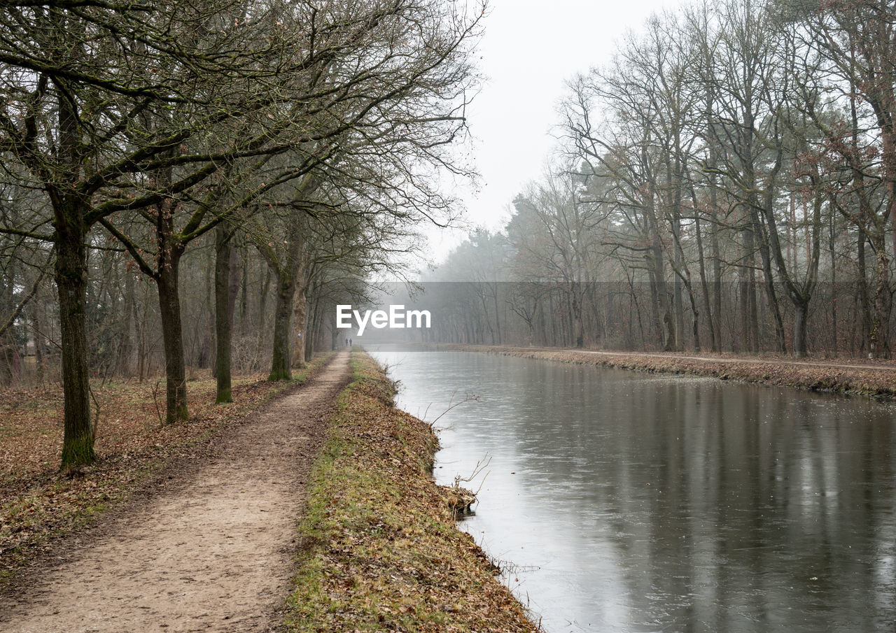 Scenic view of river amidst trees in forest