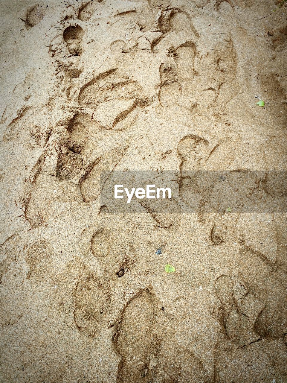 FULL FRAME SHOT OF SAND ON BEACH