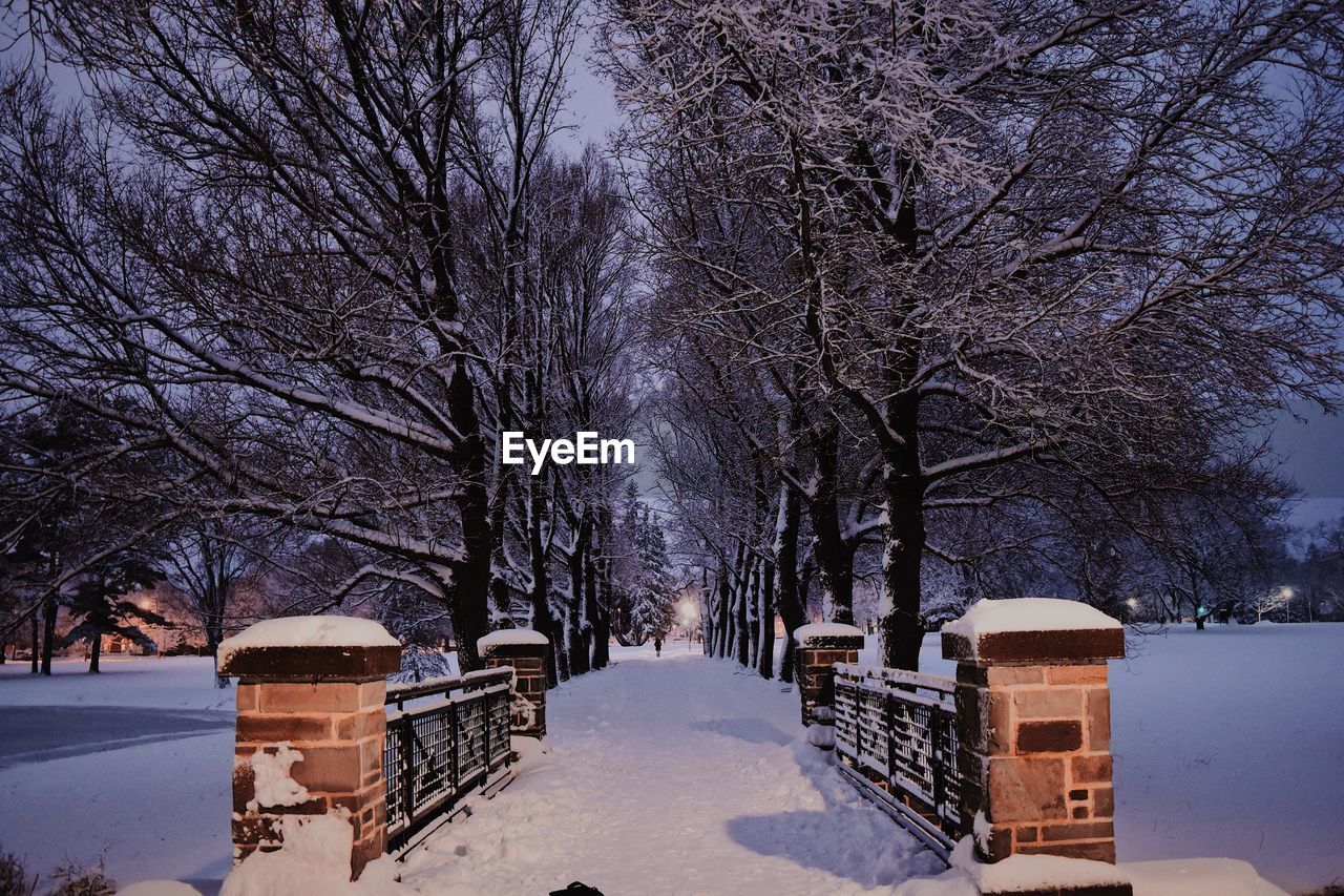 Bare trees on snow covered landscape