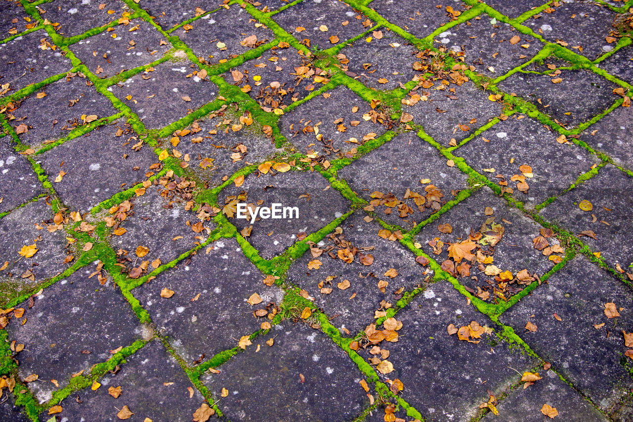 HIGH ANGLE VIEW OF FOOTPATH BY STREET