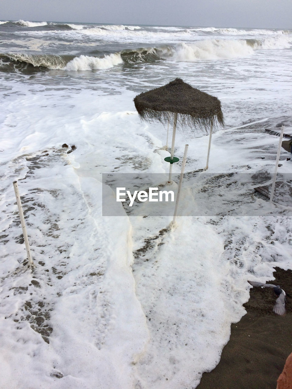 water, sea, land, shore, beach, coast, ocean, wave, nature, beauty in nature, wind wave, scenics - nature, winter, ice, body of water, environment, sky, water sports, motion, surfing, sports, rock, tranquility, travel destinations, day, outdoors, sand, snow, horizon over water, landscape, travel, tranquil scene, tourism, horizon, idyllic, freezing, coastline