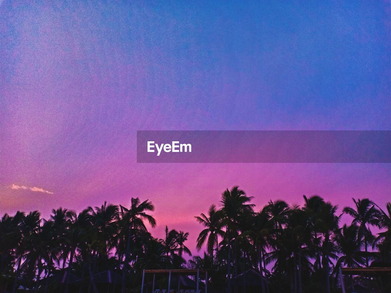 LOW ANGLE VIEW OF SILHOUETTE PALM TREES AGAINST SKY