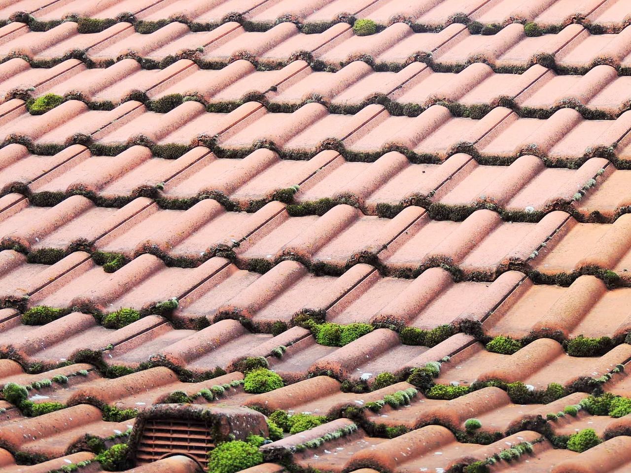 Full frame shot of roof tiles