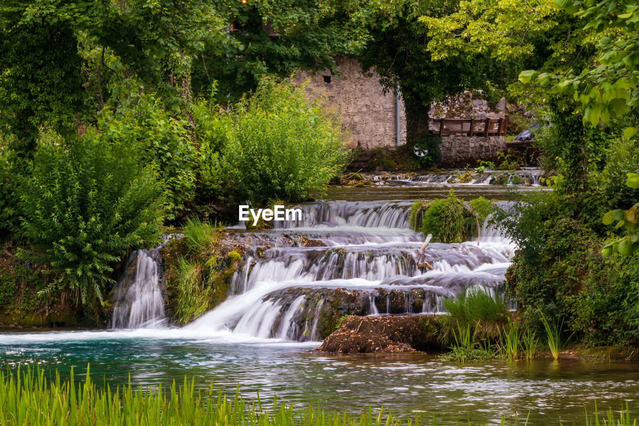 Scenic view of waterfall in forest