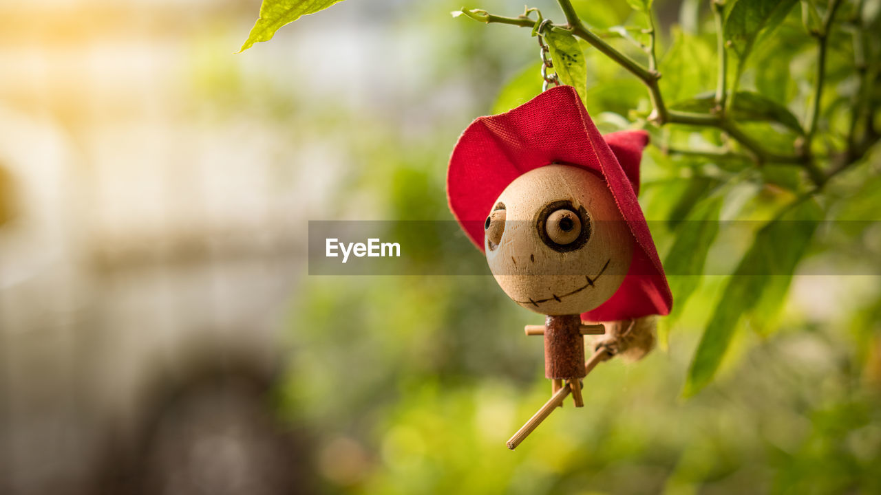 CLOSE-UP OF STUFFED TOY HANGING ON TREE