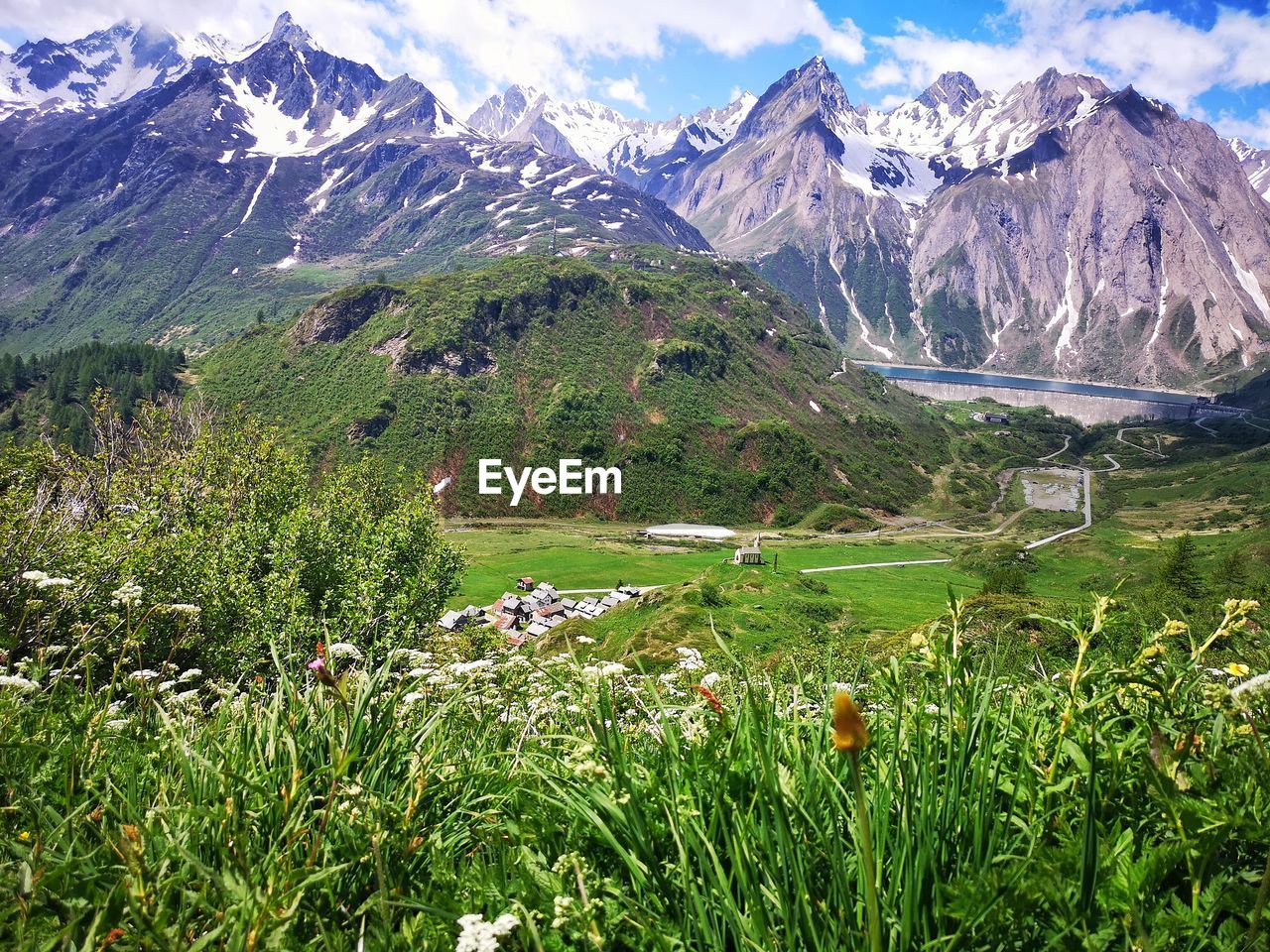 PLANTS GROWING ON FIELD AGAINST MOUNTAIN