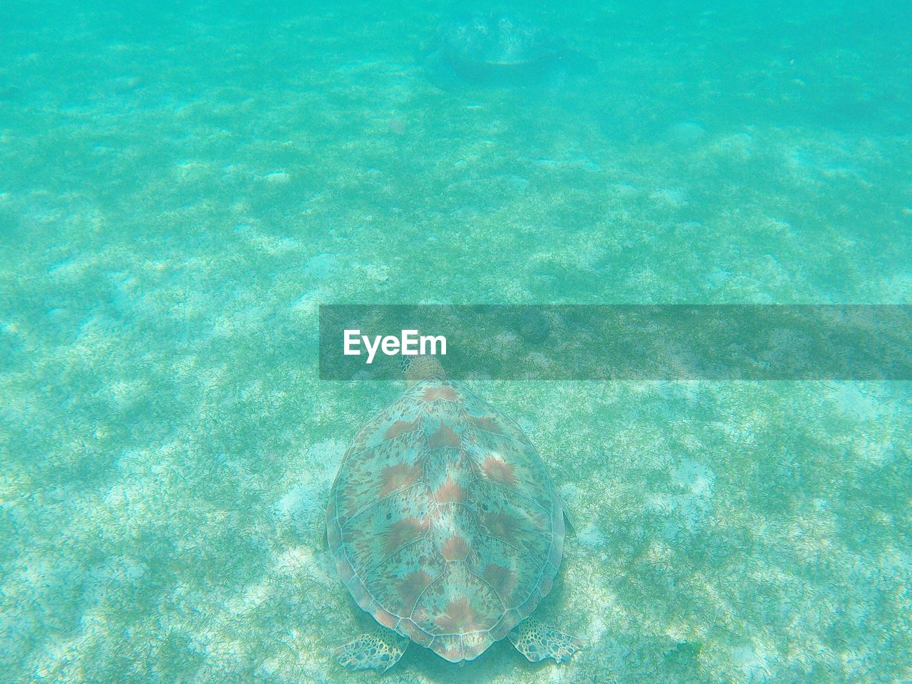 UNDERWATER VIEW OF SEA