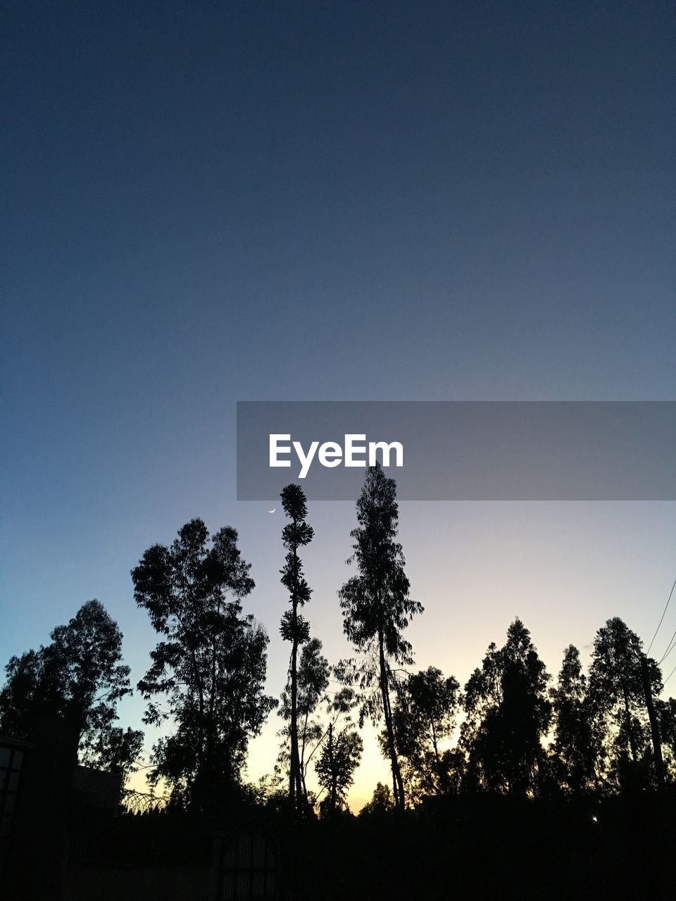 Low angle view of silhouette trees on field against clear sky