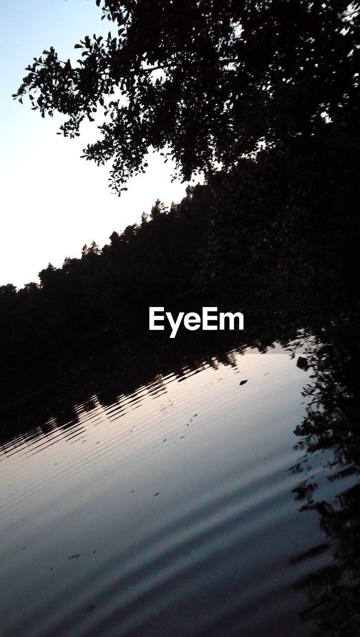 REFLECTION OF TREES ON WATER