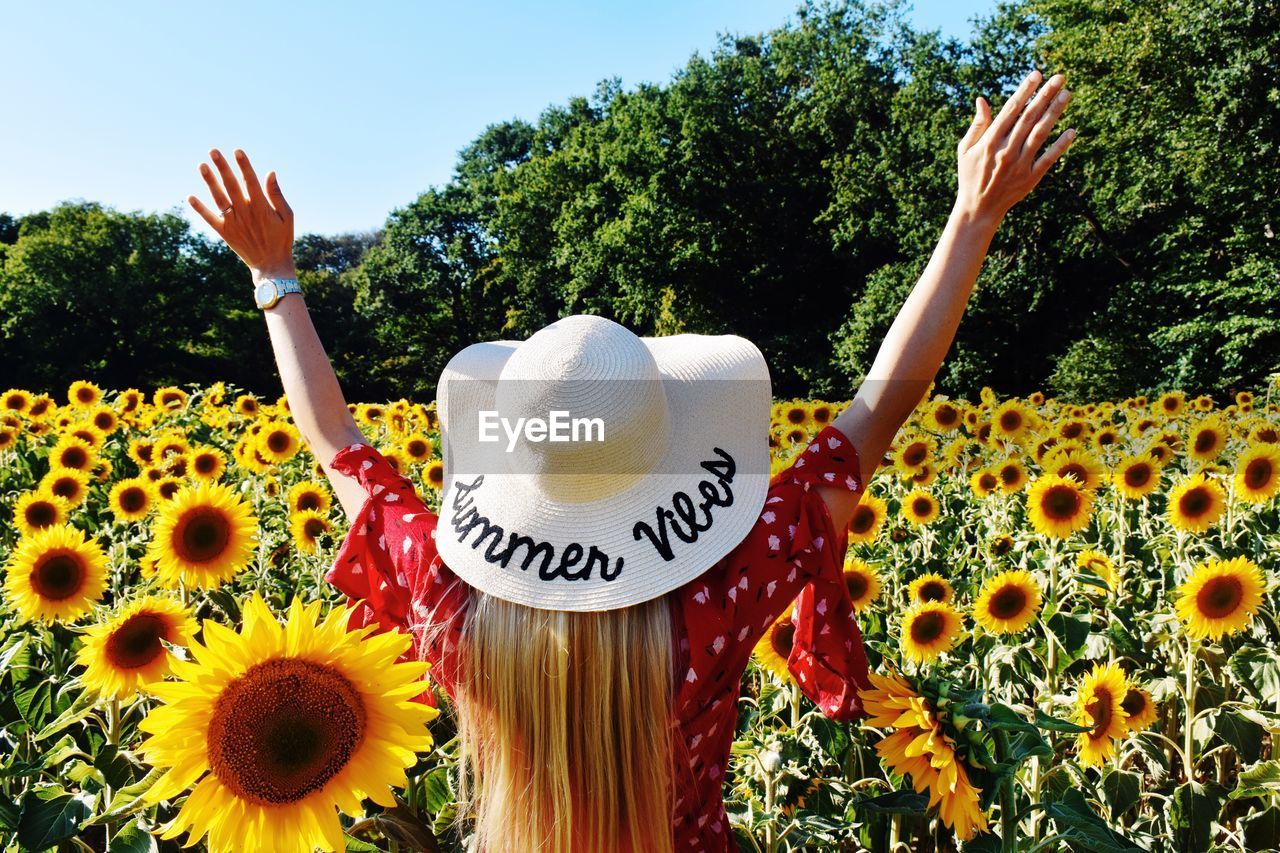 Rear view of woman with arms outstretched standing amidst sunflowers