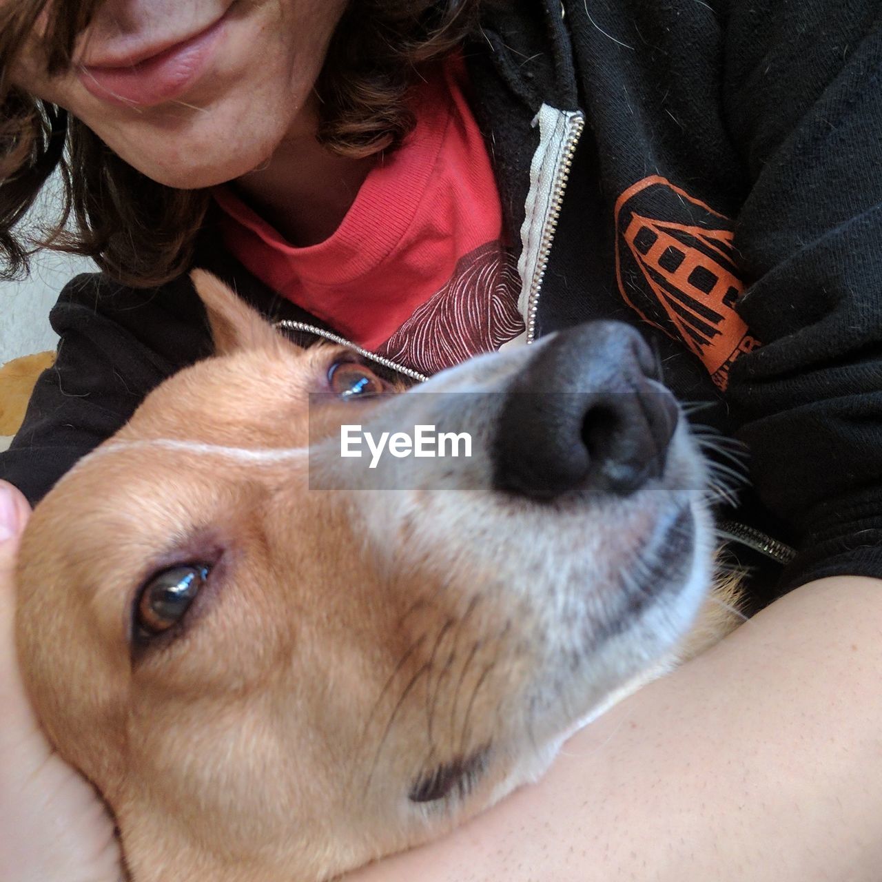 CLOSE-UP PORTRAIT OF DOG WITH HAND ON BLANKET