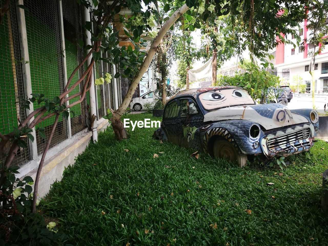 CLOSE-UP OF CAR AND GRASS