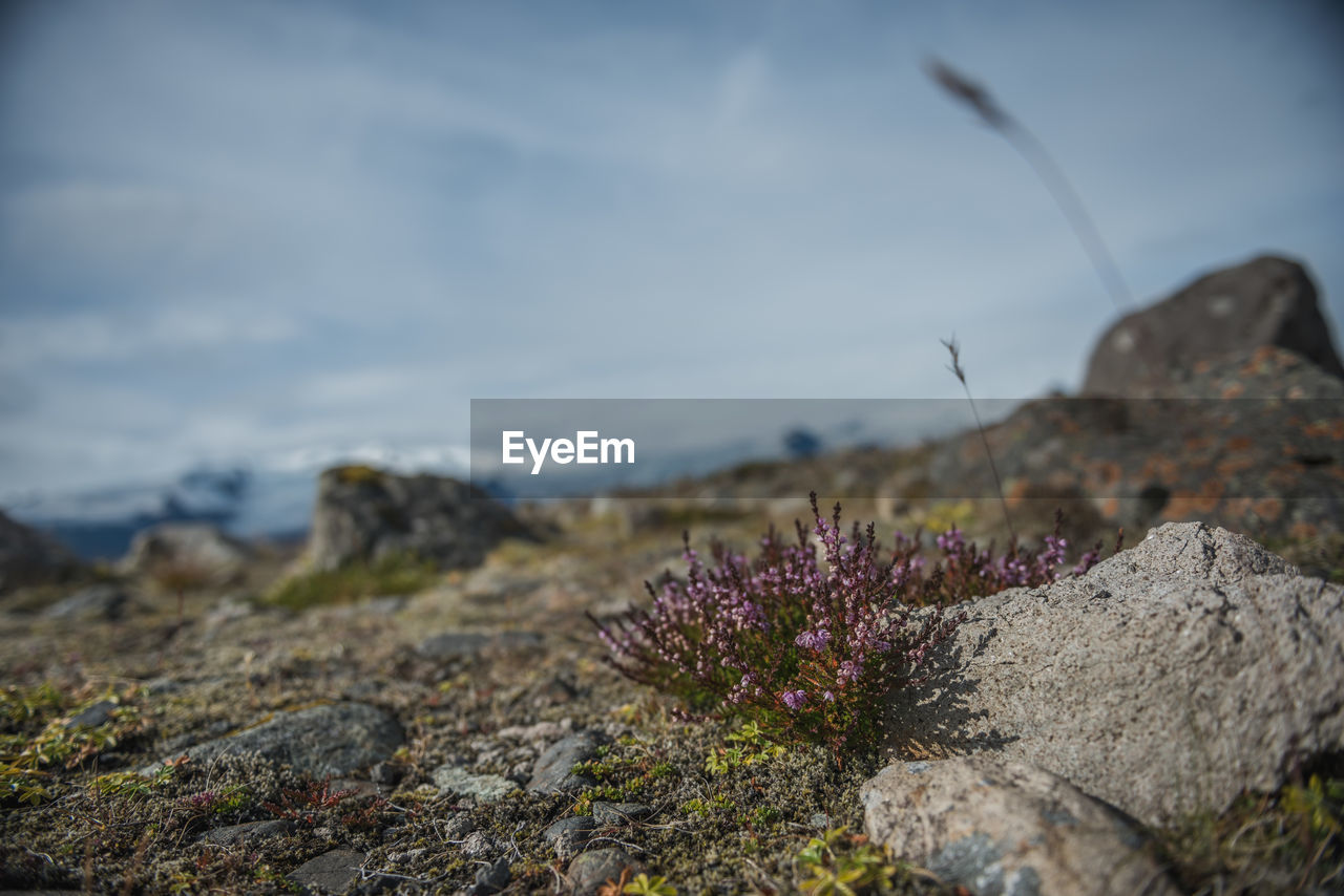 Close-up of water on rock against sky