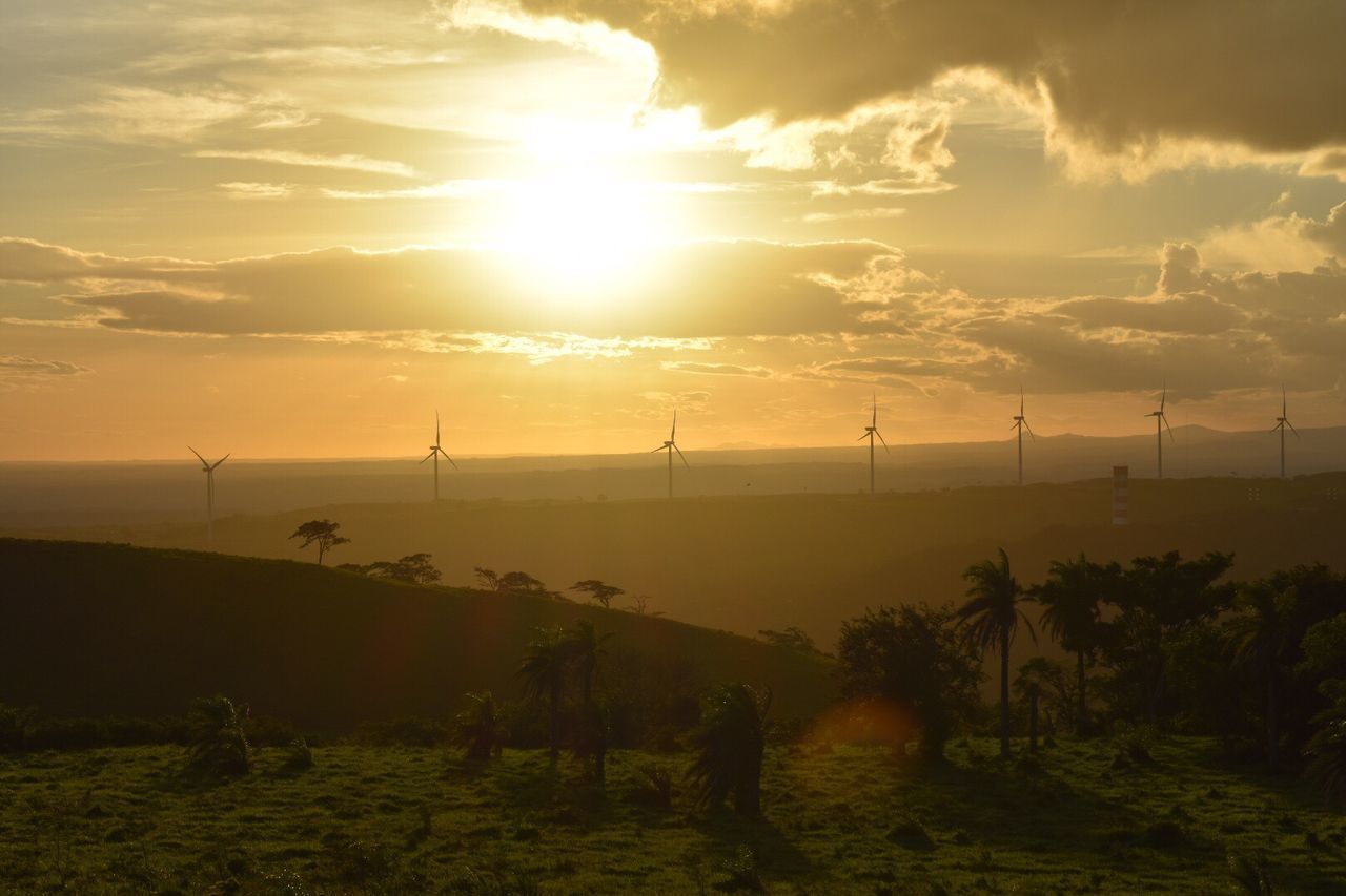 SCENIC VIEW OF FIELD DURING SUNSET