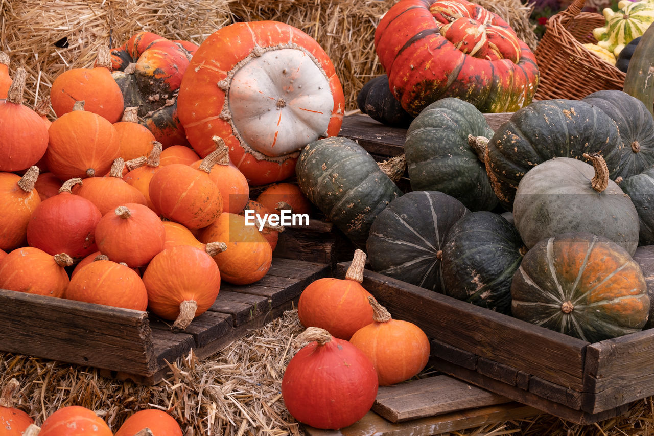 High angle view of pumpkins in market