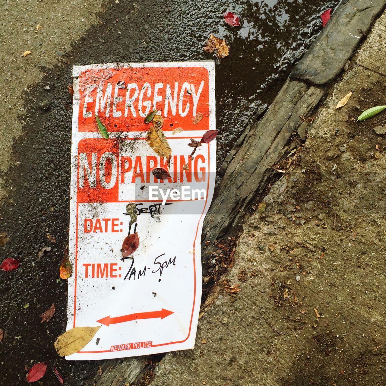 High angle view of poster on wet roadside with leaves