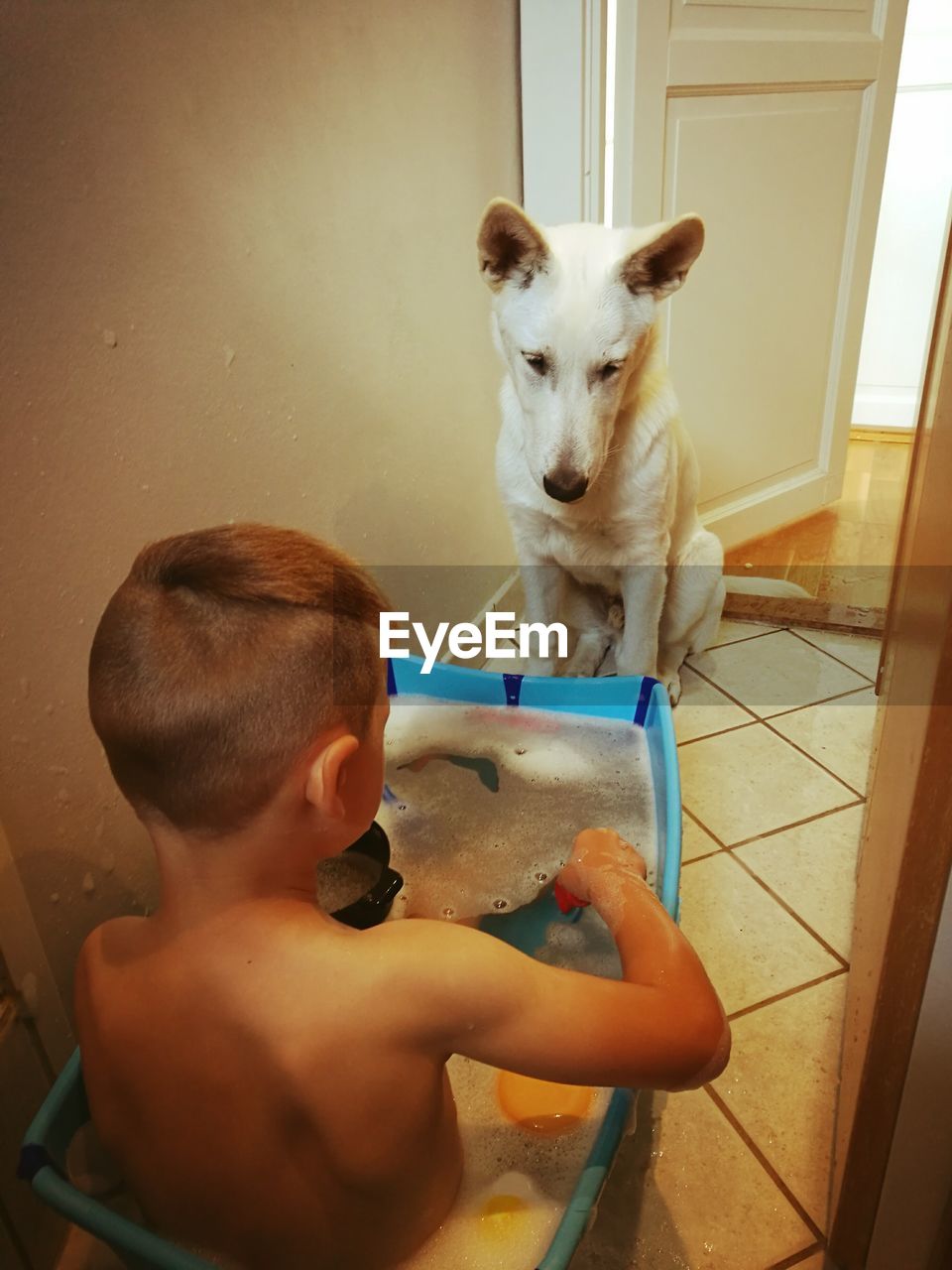High angle view of dog sitting by boy taking bath in bathtub