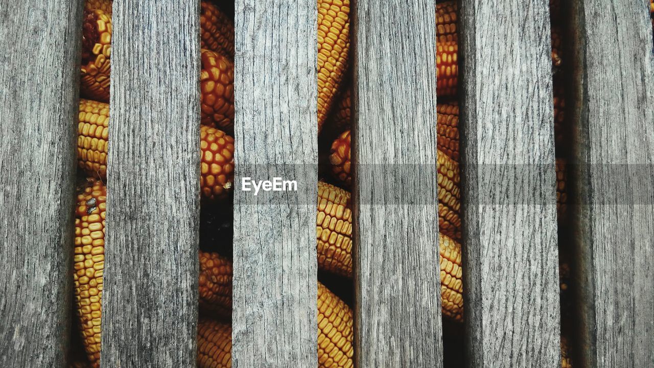 Corncobs stored on traditional raised granary