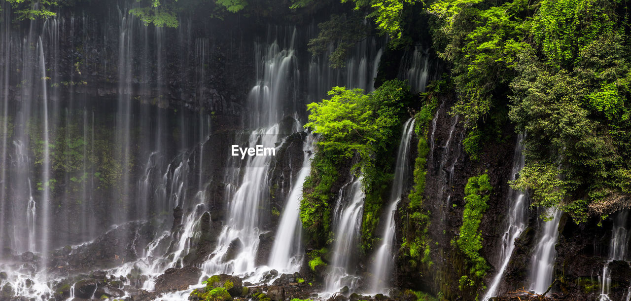 Scenic view of waterfall in forest