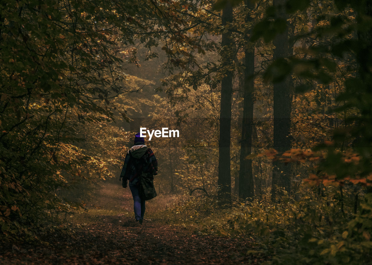 Rear view of woman walking in forest during autumn